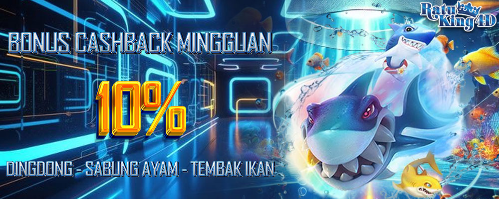 Cashback Mingguan DingDong, Sabung Ayam, dan Temba
